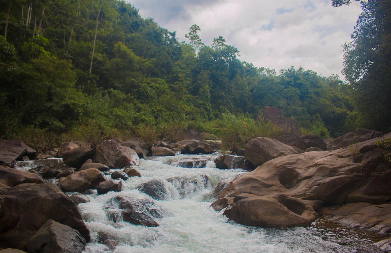 Jungle River Ginigathena Exterior photo